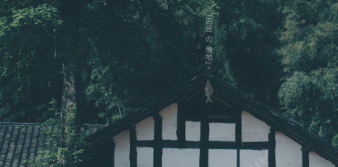 带l的英语单词游戏画面